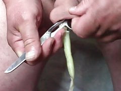 Combination - spring onion AND scissors in foreskin !