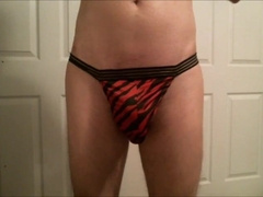 Undergarments that I do wear