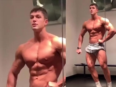 Allessandro, Mexican Bear