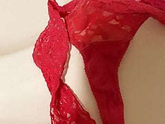 Cum on panties