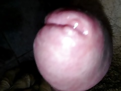 Pija madura loca de calentura