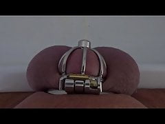 Piss with Penis Cage