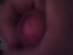 gordo