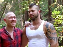 Beards, wolf, same time