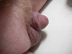 SMALL COCK VIBED