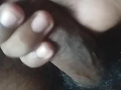 Sri lankan Black cock with bbirthmark