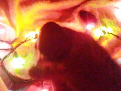 Holiday lights