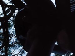 A good fuck in the forest