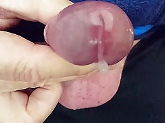 Sperma rinnt aus meinem Schwanz