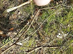 pissing in the wood