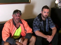 Aussie Bears