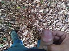 Me pissing and cumming in the Woods