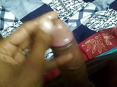 Royal raj