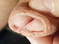 Wet uncut cock
