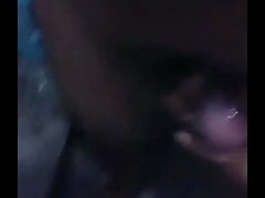 Gordito 2