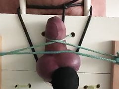 Extreme Hoden Folter Ruettler Blutig Privat SM Eier Sklave