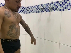 dwarf PAUZUDO