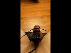 Cum in Cockcage