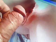 pussy hot shots 103