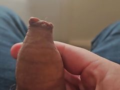 Hairy Cock Long Foreskin Play