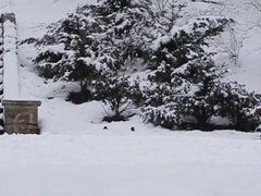 Winter Love Twinks Three-some