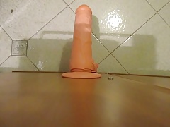 il mio miglior amico 1