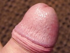 Cockhead closeup with foreskin