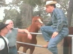 New cowboy in town _ Neil