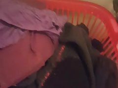 Her laundry panties