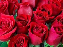 Gay porn, mature, friends in bed