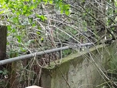 Guy in cutoffs and footwear undresses off and blows a load outdoors