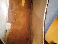 Cum drenched sneaker