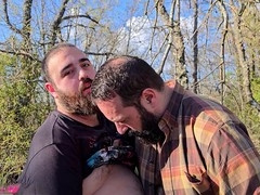bears cruise woods