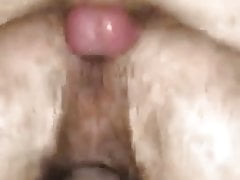Domi Top Ginger breeding his ex