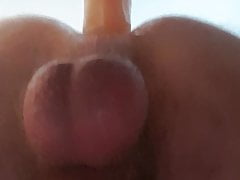 Fucking my ass with my favourite dildo!