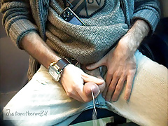 Train wank 2 - Justanotherme84 masturbating on a train