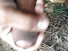 Desi land