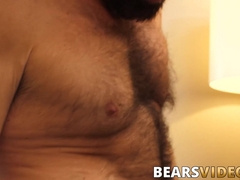 Bearded bears asshole pounded hard after cock sucking