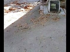 Exhib and masturbation in public