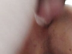 Fick.1
