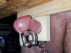 Cock stuck in a piece of wood and cummed