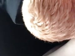 Car huge blowjob