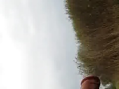 Walk wank