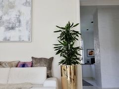 Displaying strings and discksleeves combo