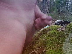 Cuming in the woods