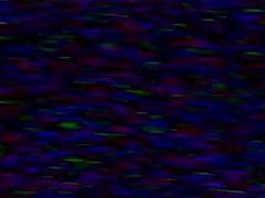 FamilyDick - Muscle bear daddy barebacks boys during sleepover