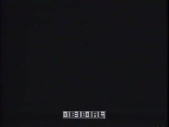 Nice-looking , High And Lovely