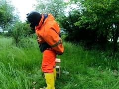 Railing Dino Plaything in Garden Dressed In Hivis and Condom Footwear