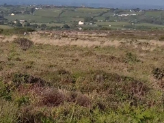 Nude walk and fap, clothes ruined so there's no way back!