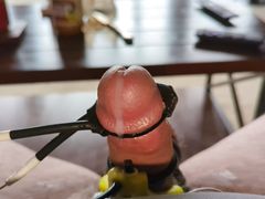 Growing cock cumshot - estim